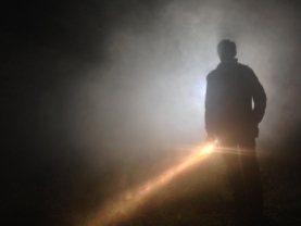 Arjun in the mist - Cosmos Night Exterior Field